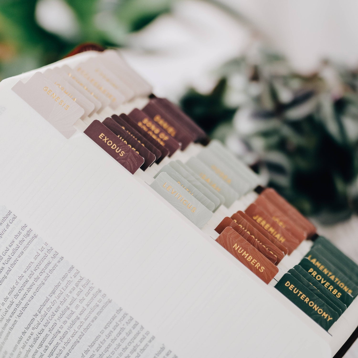 Bible Supplies